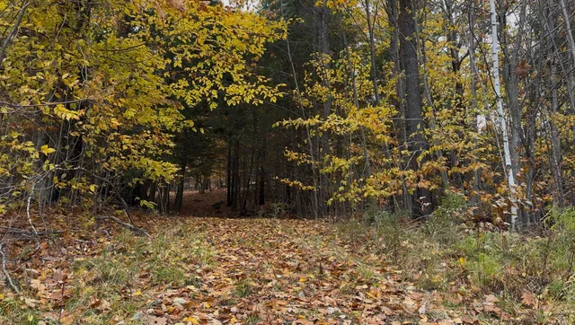 $500,000 | 0 Peaked Hill Road, Unit 7 1 7 2 7 3 7 4, Bristol, NH 03222