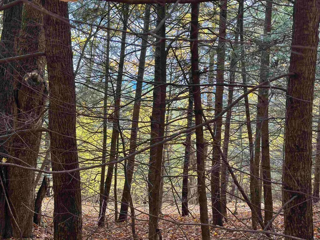 $500,000 | 0 Peaked Hill Road, Unit 7 1 7 2 7 3 7 4, Bristol, NH 03222