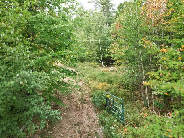 $500,000 | 0 Peaked Hill Road, Unit 7 1 7 2 7 3 7 4, Bristol, NH 03222