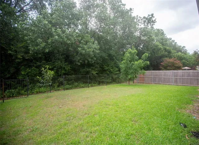 a view of a yard with a tree