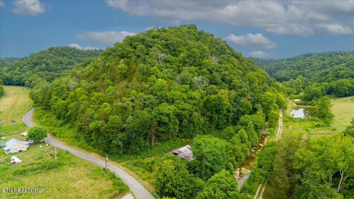 Knob Creek Road Celina, TN 38551 - Photo 2 of 10 IMG_7530