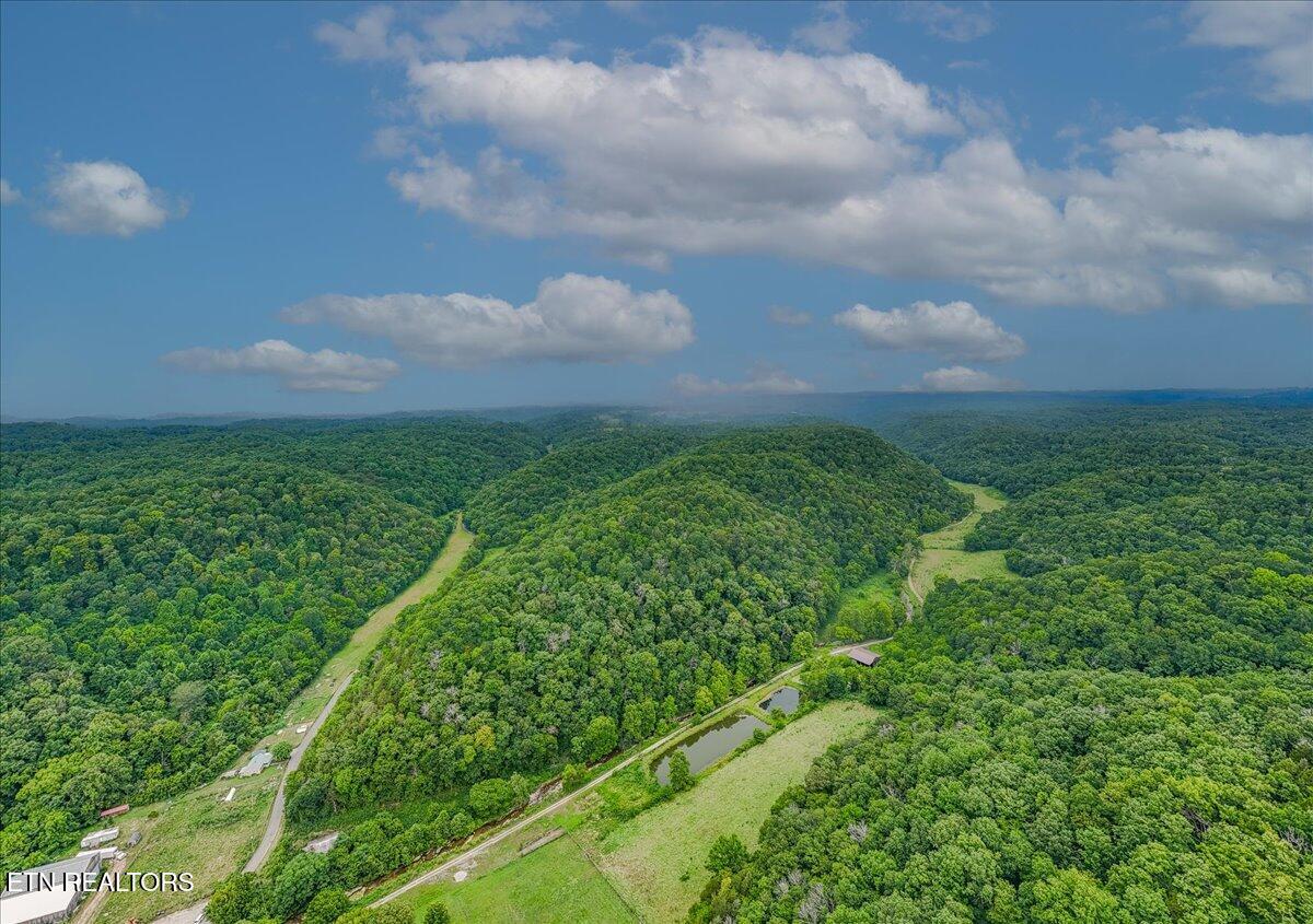 Knob Creek Road Celina, TN 38551 - Photo 8 of 10 IMG_7538