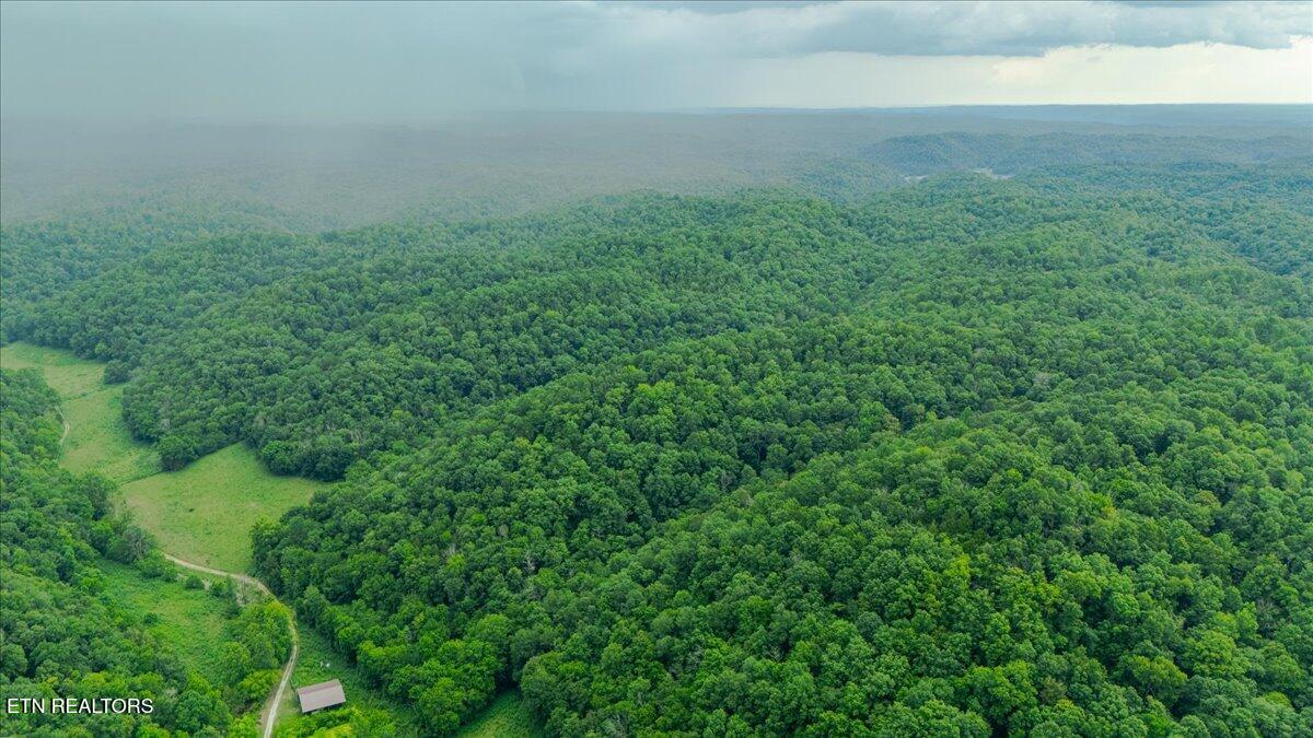 Knob Creek Road Celina, TN 38551 - Photo 9 of 10 IMG_7540