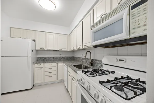 $167,900 | 301 Chicago Avenue, Unit 3CW, Oak Park, IL 60302