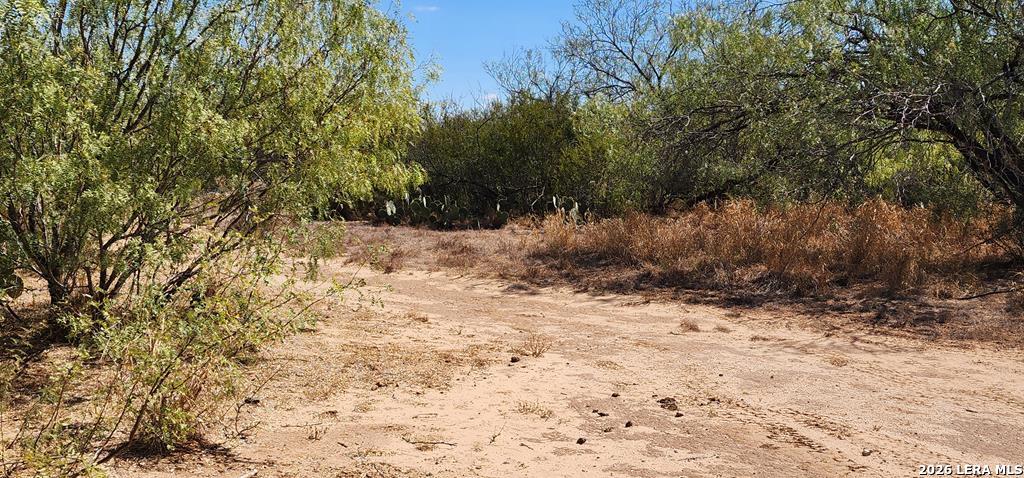 0 Loop 517 Carrizo Springs, TX 78834 - Photo 4 of 30