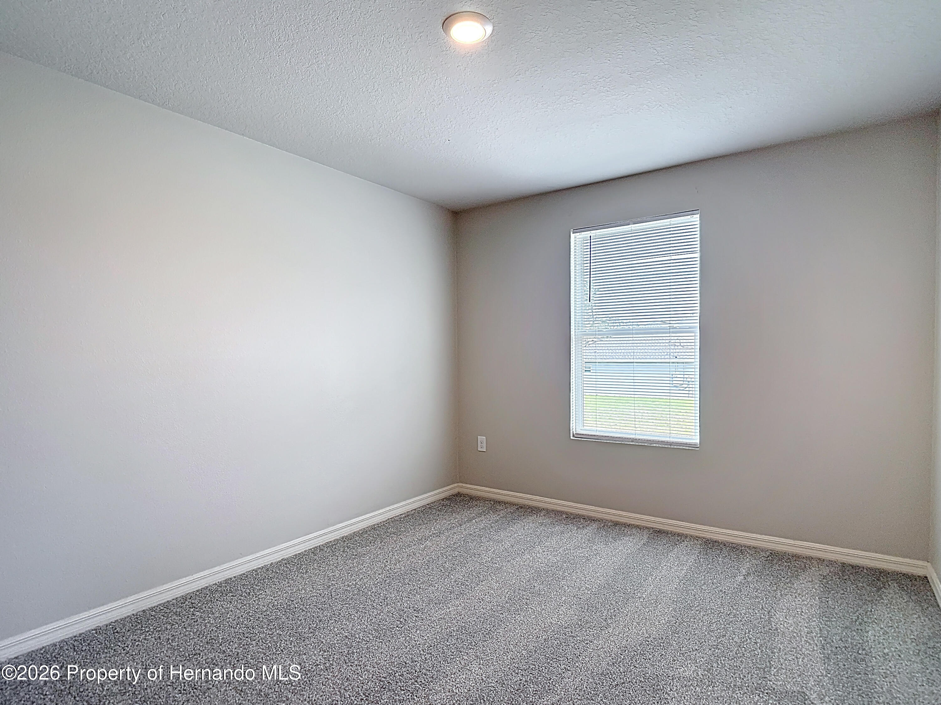 11374 Marcella Avenue Weeki Wachee, FL 34614 - Photo 58 of 70
