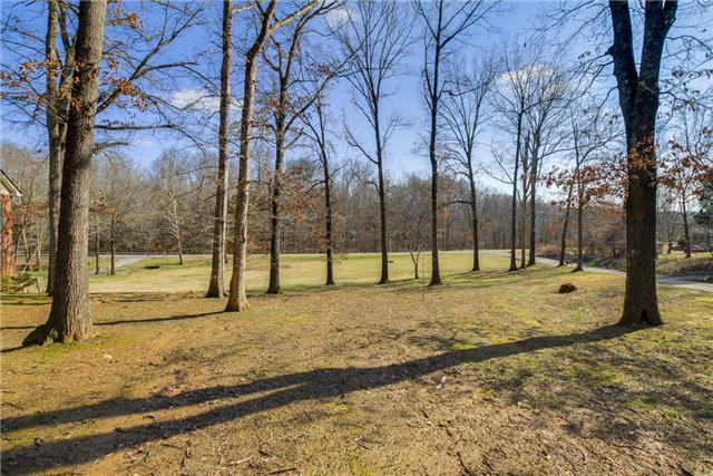 5083 Campbell Road Cross Plains, TN 37049 - Photo 18 of 20 View of Side Yard