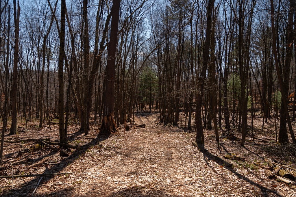 873 Burns Road Venus, PA 16364 - Photo 20 of 31 Gallery Image 20