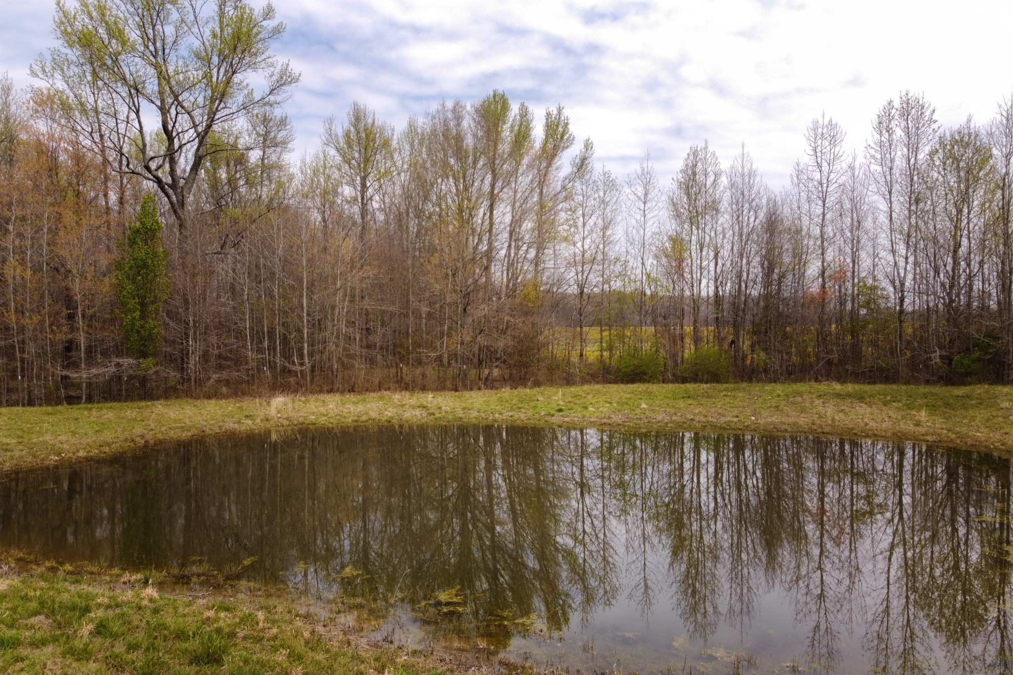 1036 Rabbit Trail Road Five Points, TN 38457 - Photo 27 of 53