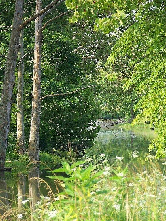 2056 Red House Road Richmond, KY 40475 - Photo 62 of 67 Gorgeous creek!