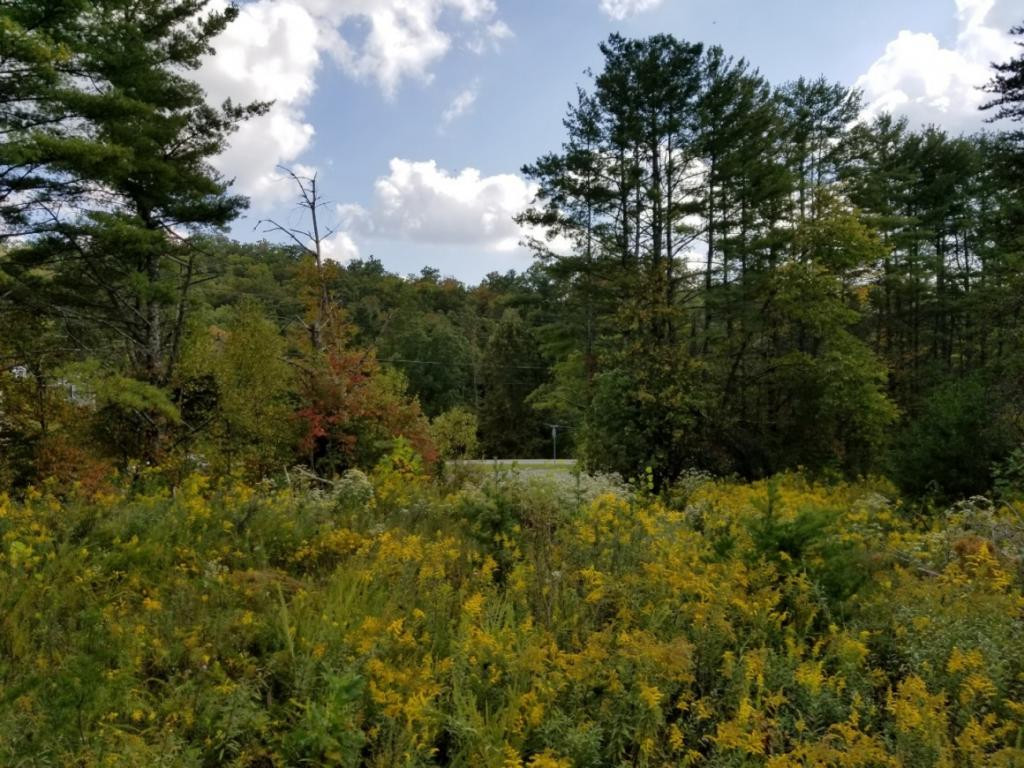 1 Sciota Road Unicoi, TN 37692 - Photo 1 of 36 Photo 1