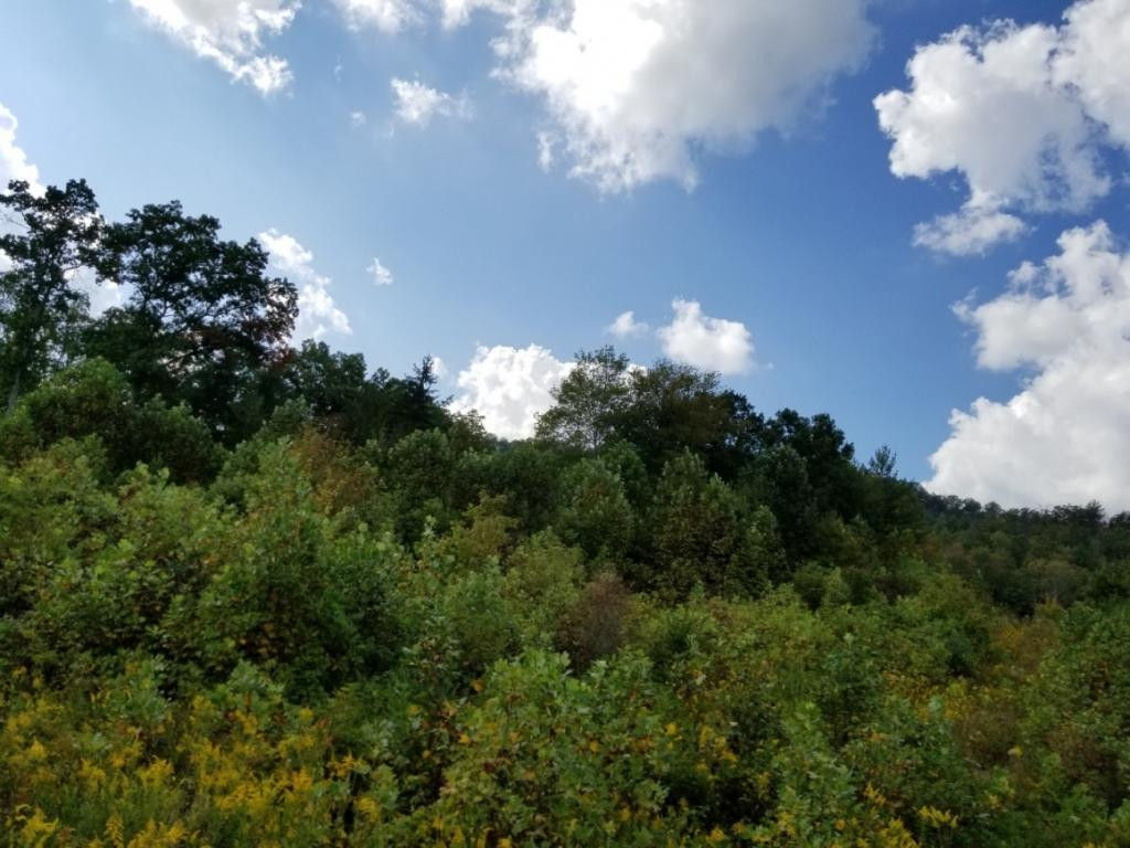 1 Sciota Road Unicoi, TN 37692 - Photo 11 of 36 Photo 11