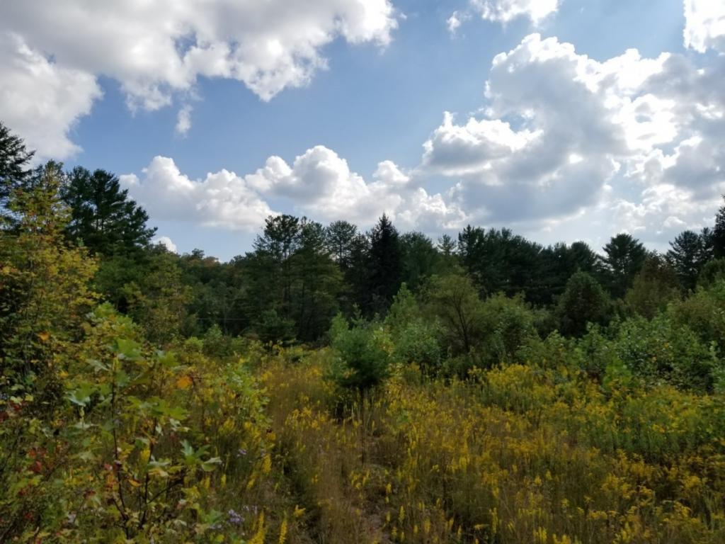 1 Sciota Road Unicoi, TN 37692 - Photo 13 of 36 Photo 13