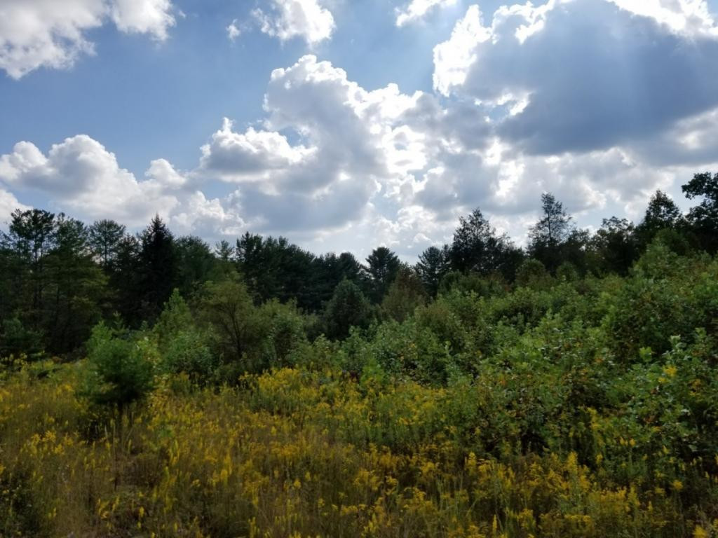 1 Sciota Road Unicoi, TN 37692 - Photo 14 of 36 Photo 14