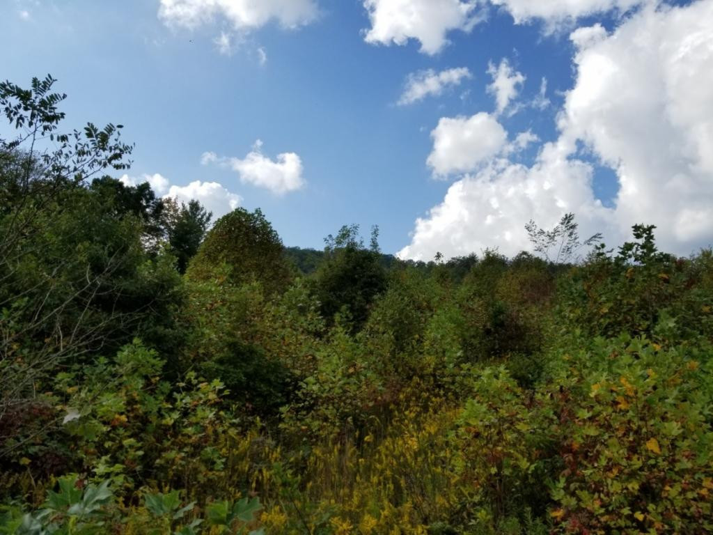 1 Sciota Road Unicoi, TN 37692 - Photo 15 of 36 Photo 15