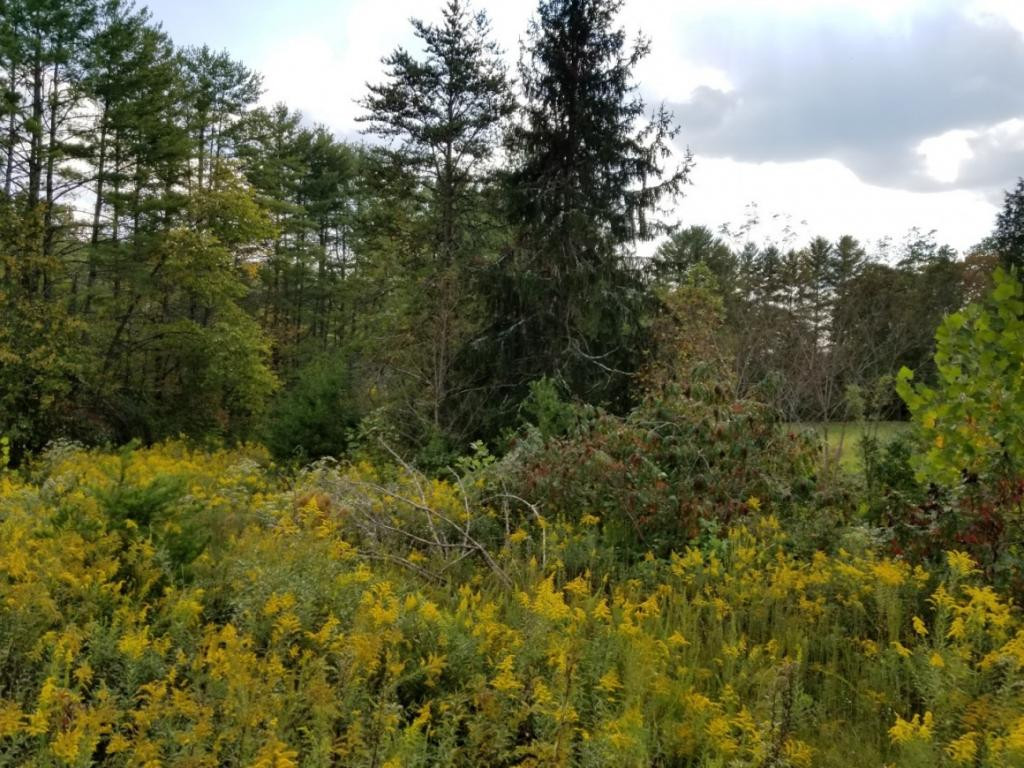1 Sciota Road Unicoi, TN 37692 - Photo 2 of 36 Photo 2