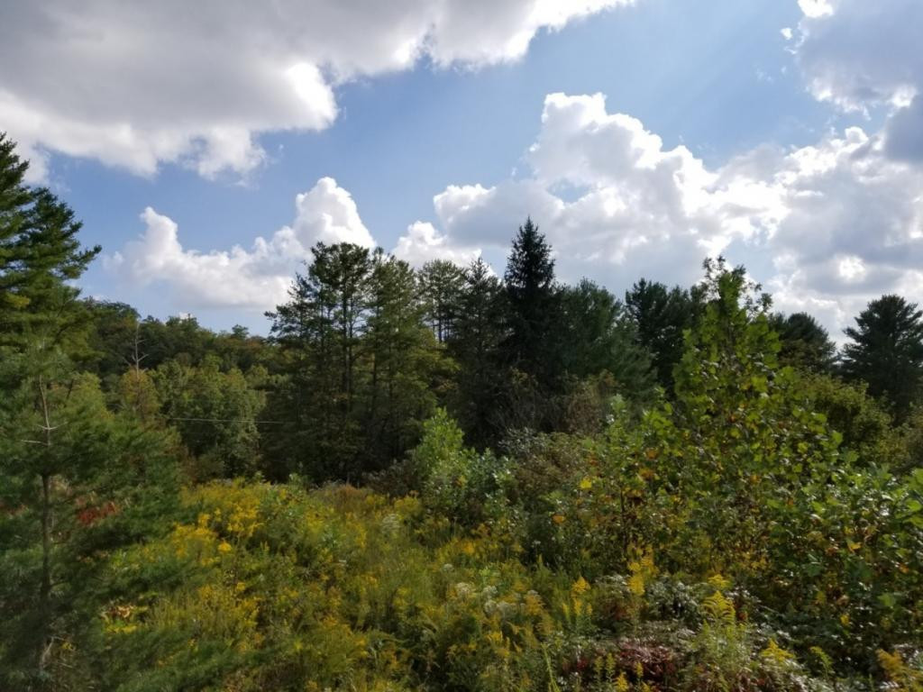 1 Sciota Road Unicoi, TN 37692 - Photo 22 of 36 Photo 22