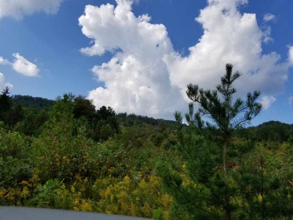 1 Sciota Road Unicoi, TN 37692 - Photo 3 of 36 Photo 3