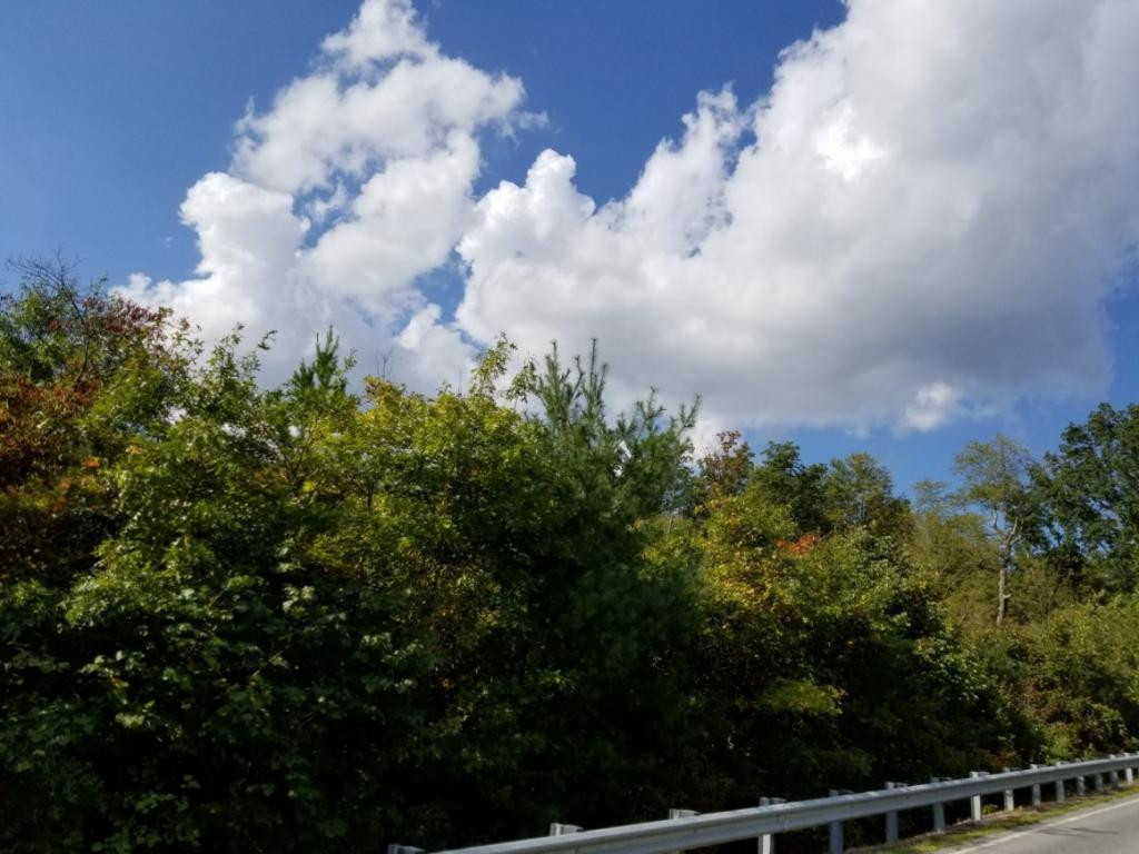 1 Sciota Road Unicoi, TN 37692 - Photo 31 of 36 Photo 31