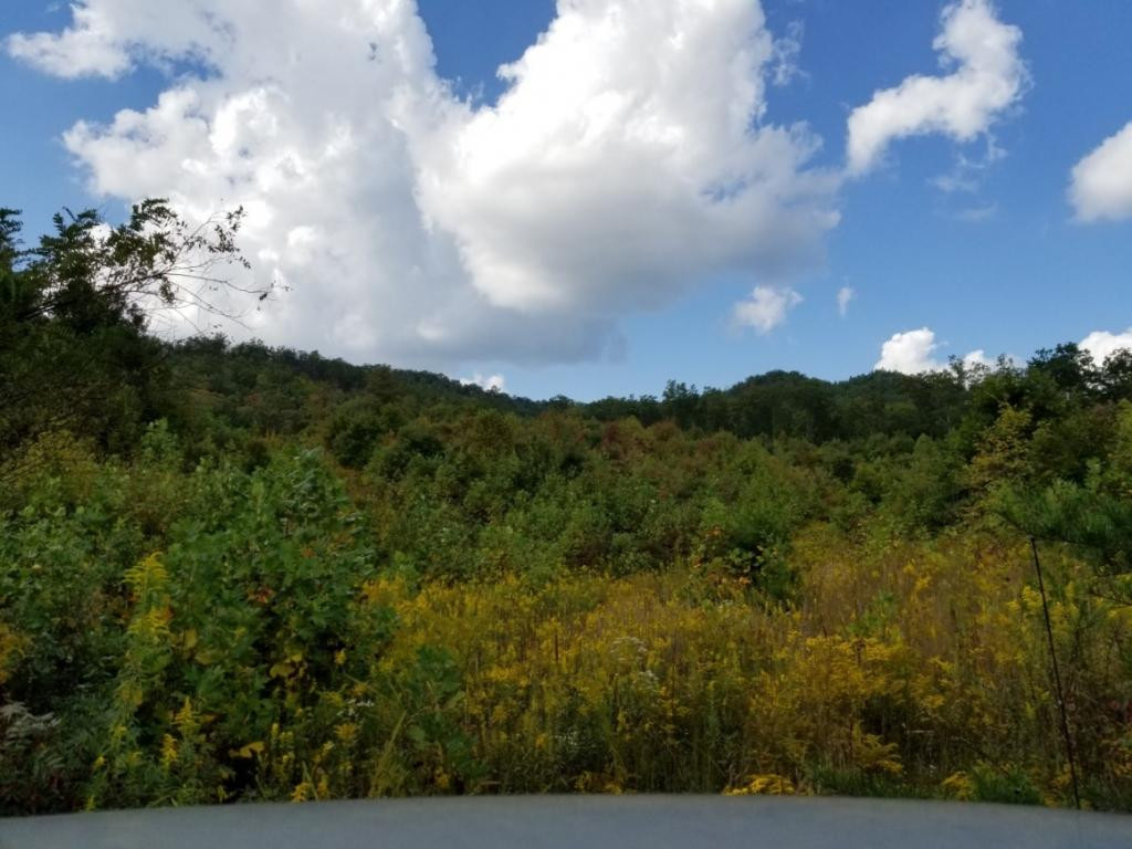 1 Sciota Road Unicoi, TN 37692 - Photo 4 of 36 Photo 4