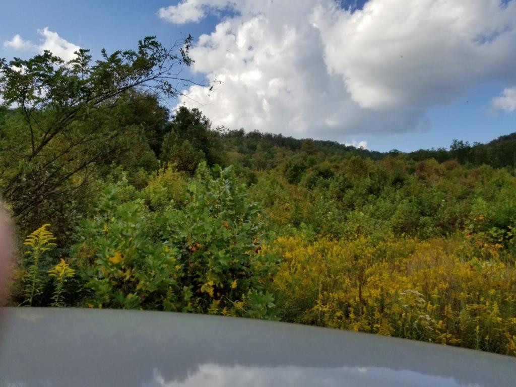 1 Sciota Road Unicoi, TN 37692 - Photo 5 of 36 Photo 5