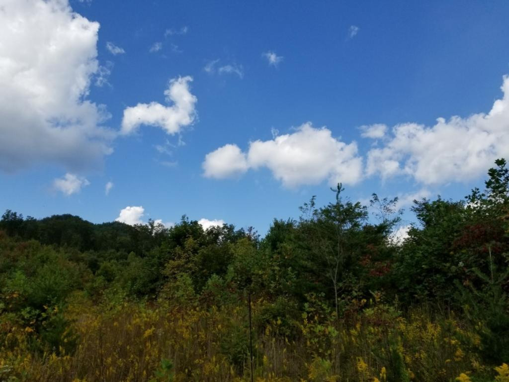 1 Sciota Road Unicoi, TN 37692 - Photo 6 of 36 Photo 6