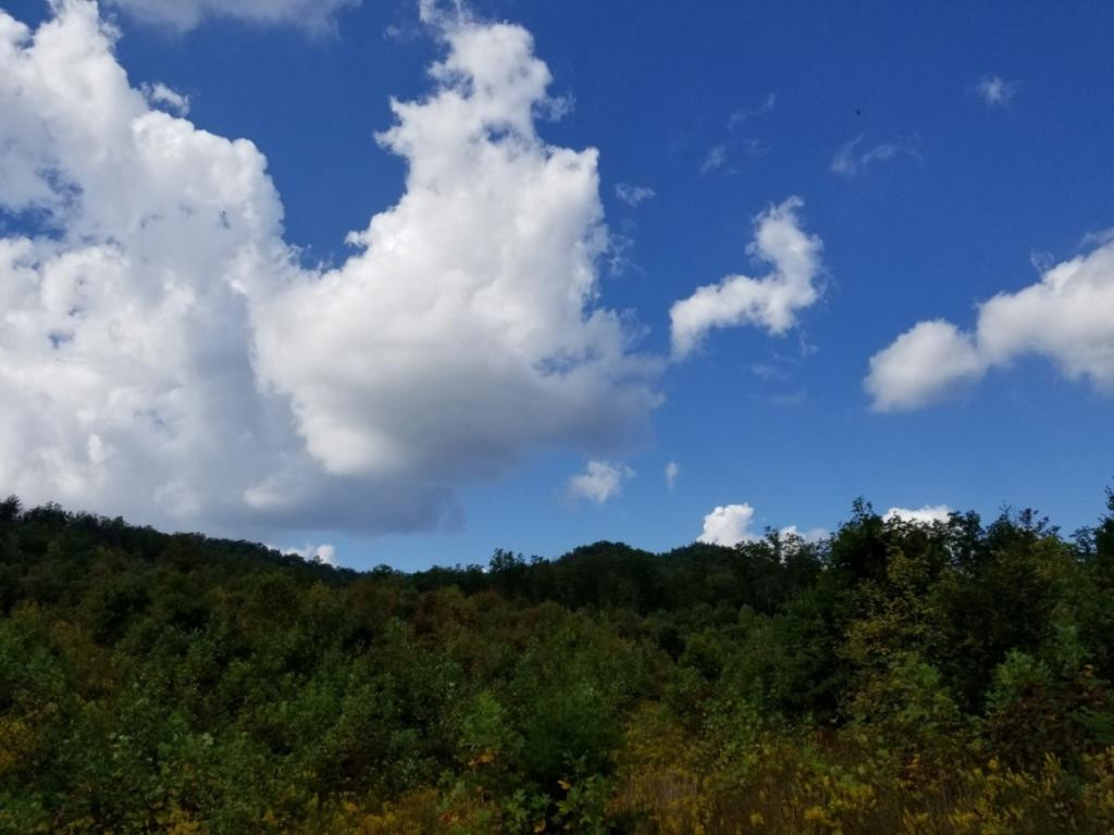 1 Sciota Road Unicoi, TN 37692 - Photo 8 of 36 Photo 8