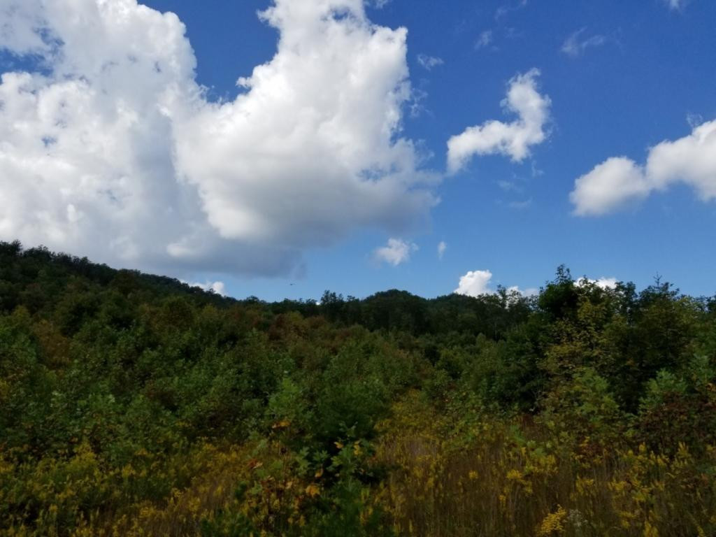 1 Sciota Road Unicoi, TN 37692 - Photo 9 of 36 Photo 9