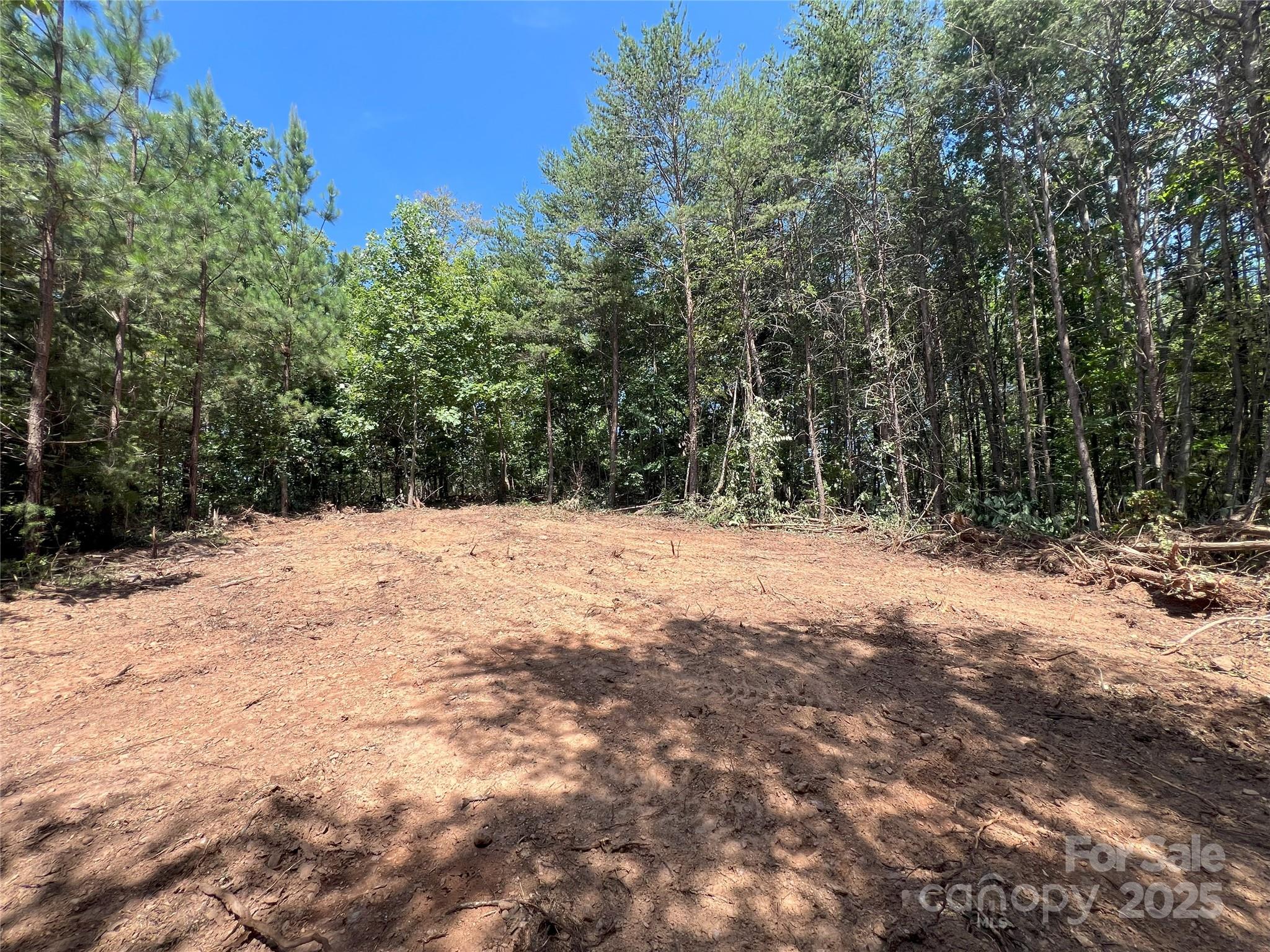 0 Irvin Road Ellenboro, NC 28040 - Photo 21 of 29 Gallery Image 21
