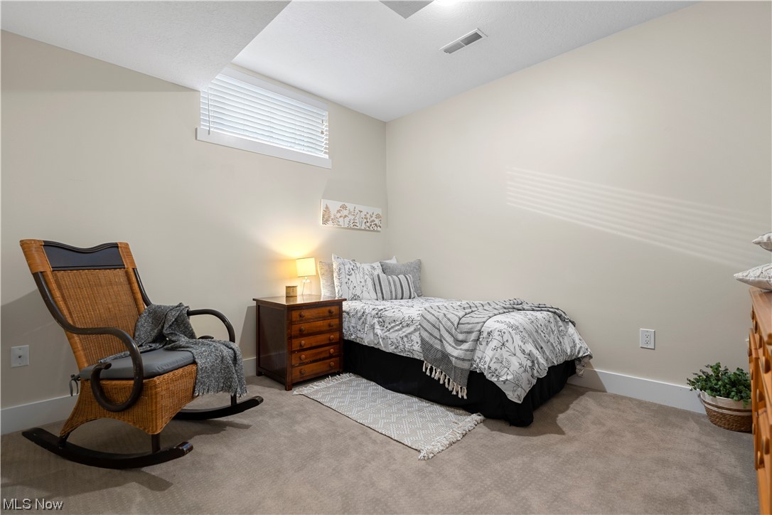 13908 Calaboone Road Doylestown, OH 44230 - Photo 30 of 37 Lower Level Bonus Room