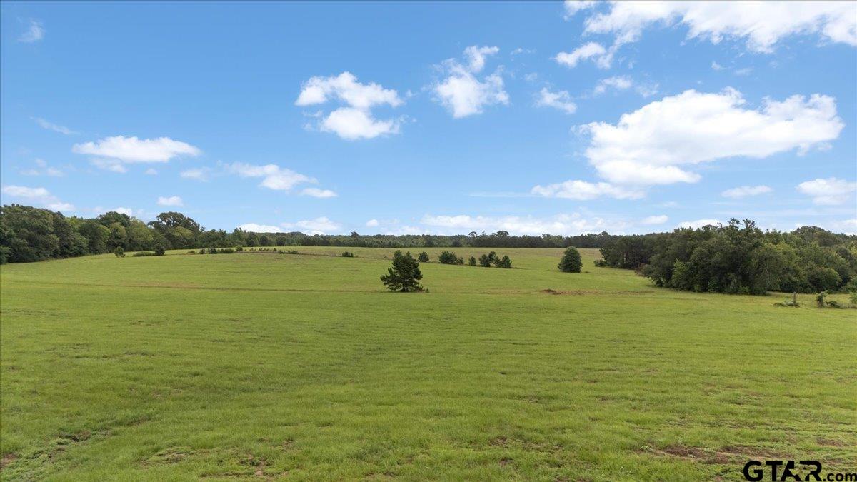 3989 Bob O Link Road Gilmer, TX 75645 - Photo 32 of 35