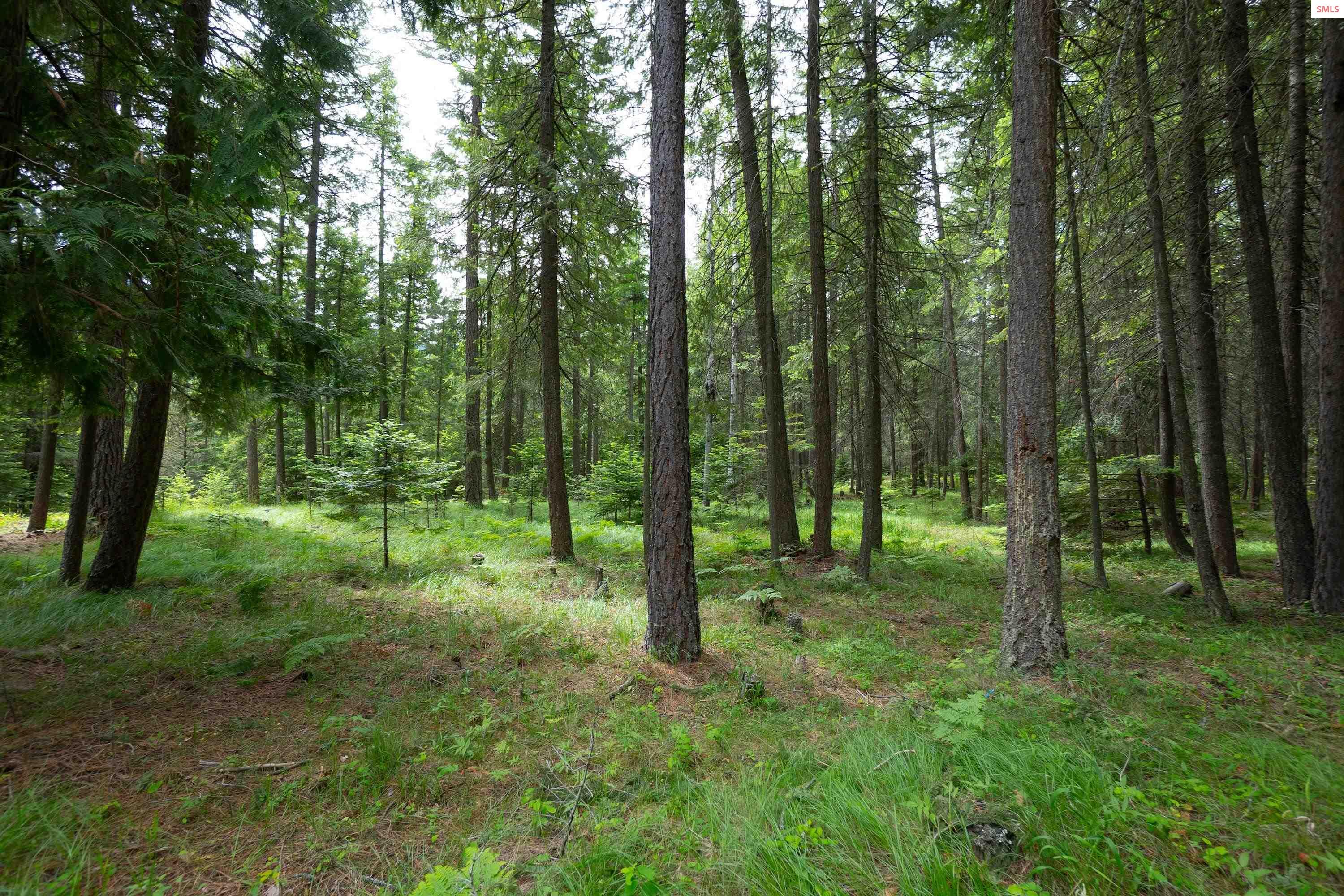 3228 Kootenai Trail Road Bonners Ferry, ID 83805 - Photo 33 of 35 Gallery Image 33