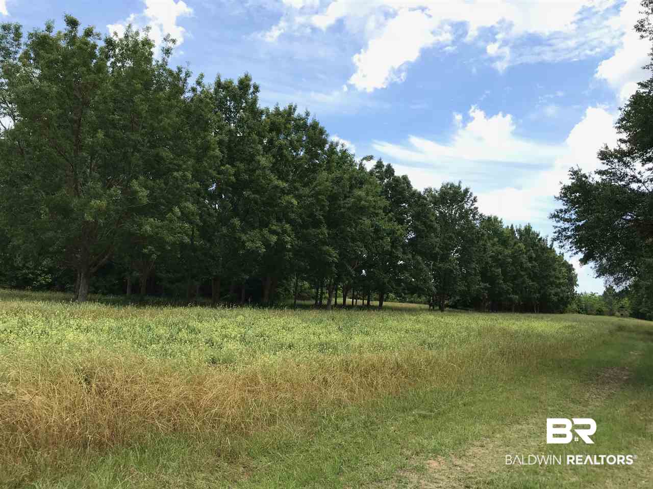0 Kings Ldg Road Seminole, AL 36574 - Photo 7 of 17