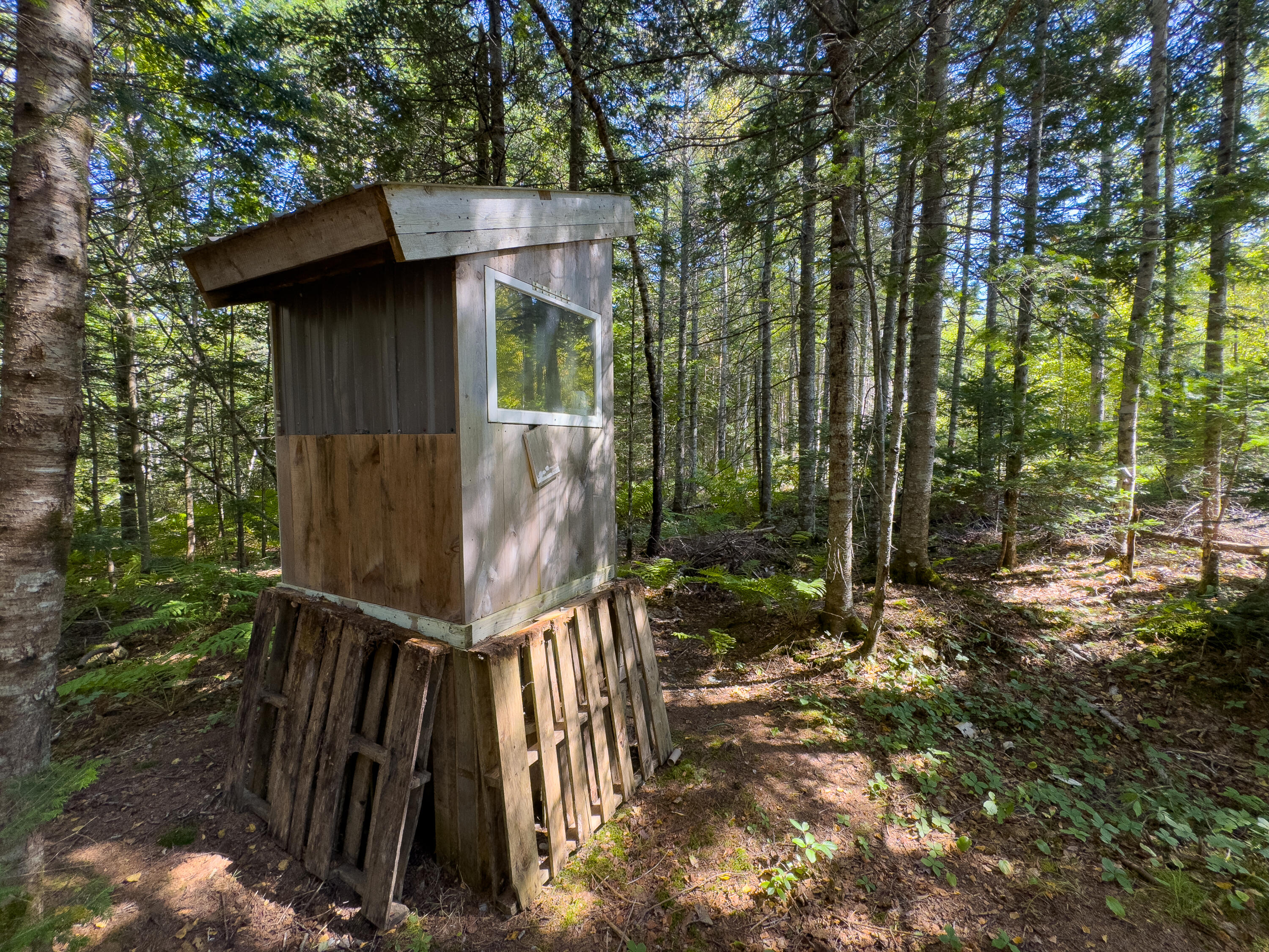 244 South Main Street Whitneyville, ME 04654 - Photo 20 of 24 244 S MAIN EXTERIOR (20)