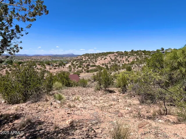 a view of a large building with a mountain in the background