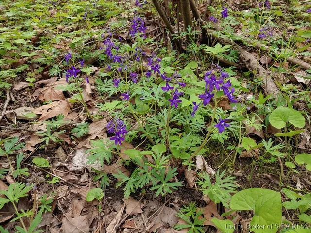 $229,000 | 1127 Walnut Street, Madison, IN 47250