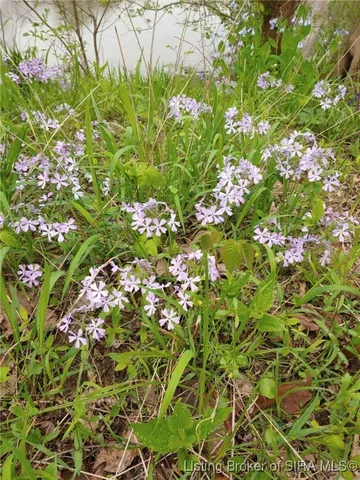 $229,000 | 1127 Walnut Street, Madison, IN 47250