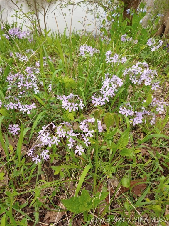 1127 Walnut Street Madison, IN 47250 - Photo 56 of 69