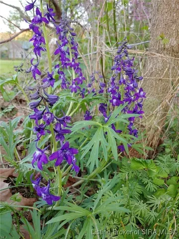 $229,000 | 1127 Walnut Street, Madison, IN 47250