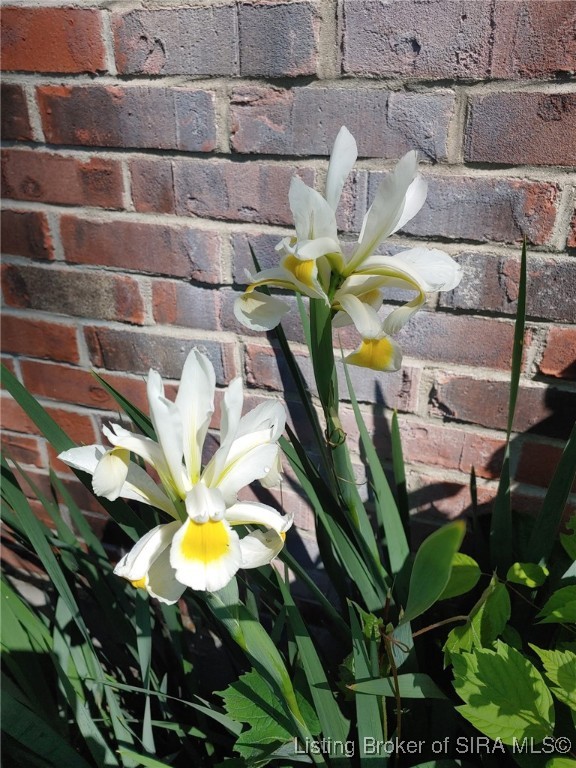 1127 Walnut Street Madison, IN 47250 - Photo 59 of 69