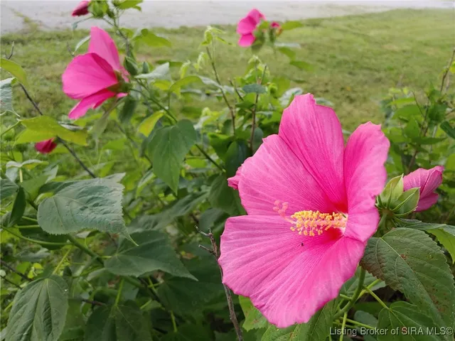 $229,000 | 1127 Walnut Street, Madison, IN 47250