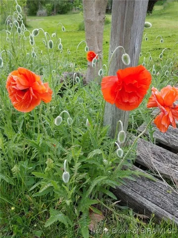 $229,000 | 1127 Walnut Street, Madison, IN 47250