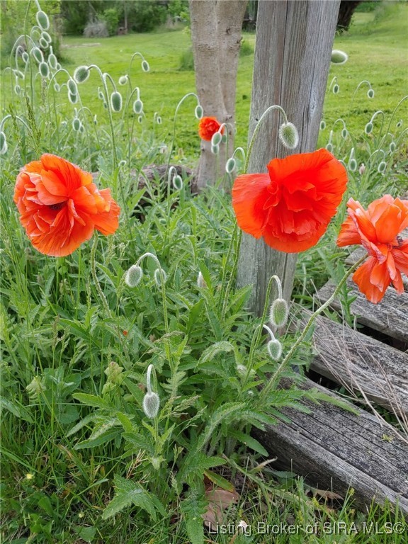 1127 Walnut Street Madison, IN 47250 - Photo 62 of 69