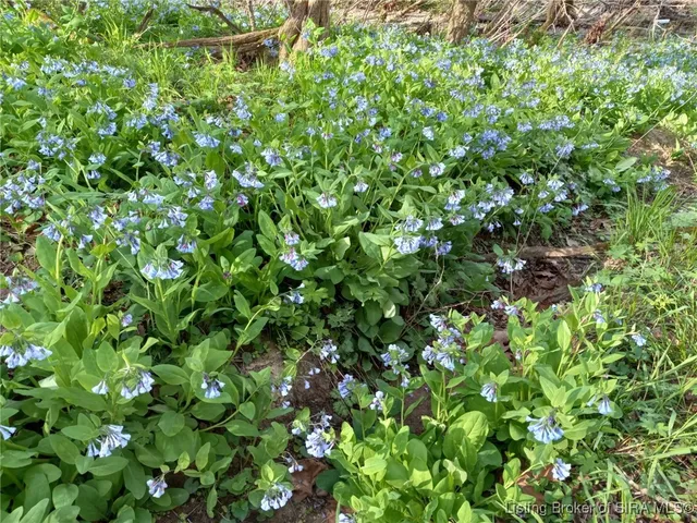 $229,000 | 1127 Walnut Street, Madison, IN 47250