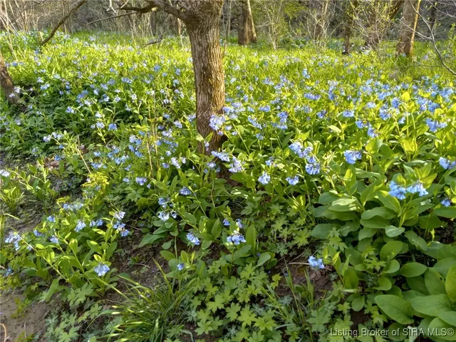 $229,000 | 1127 Walnut Street, Madison, IN 47250