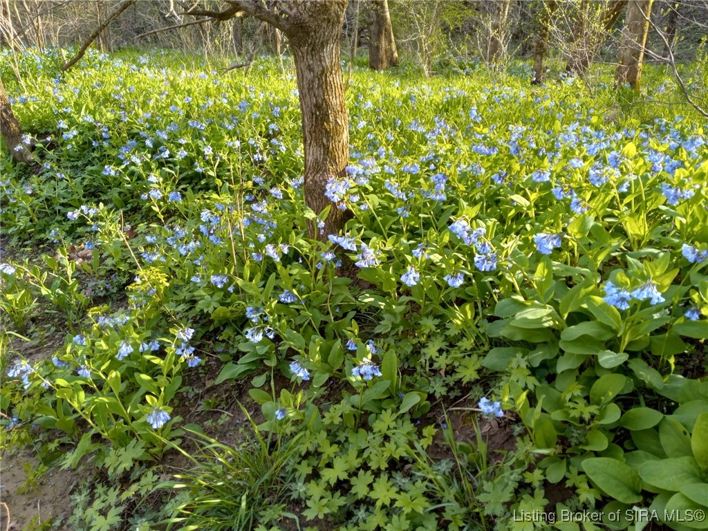 1127 Walnut Street Madison, IN 47250 - Photo 64 of 69