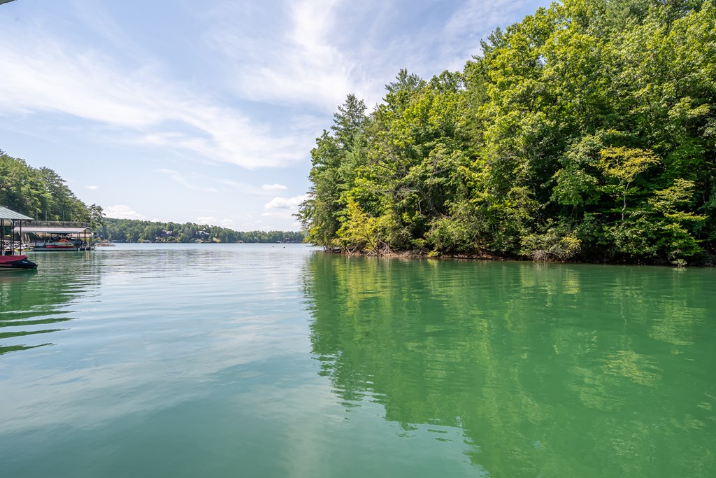 94 Rome Point Blue Ridge, GA 30513 - Photo 16 of 72