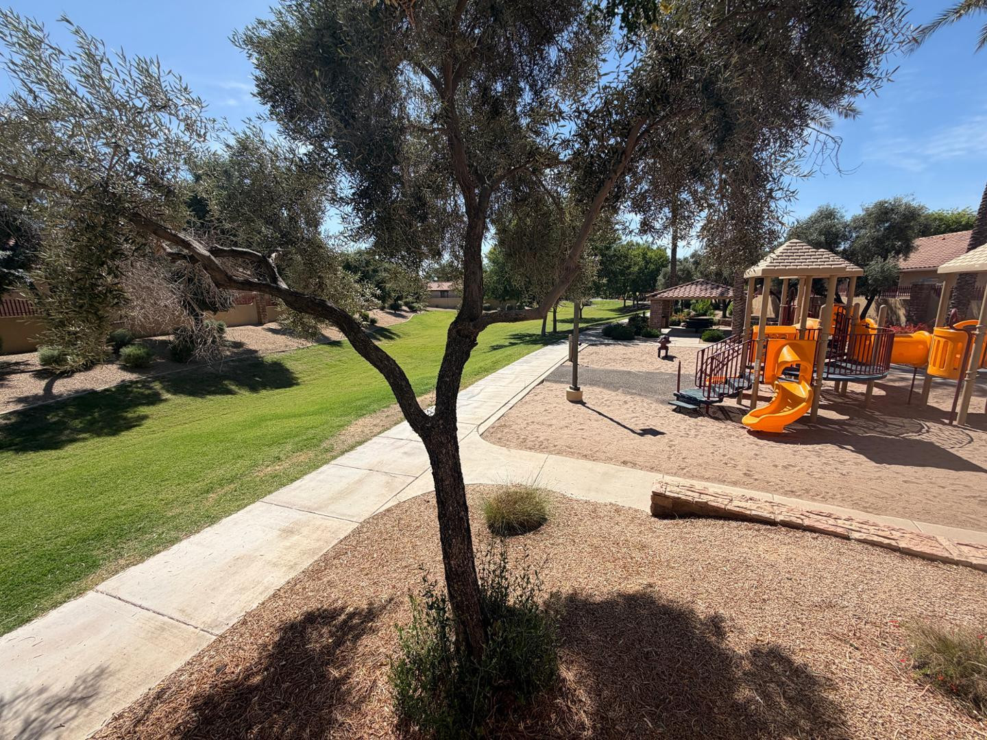 6334 South Blake Street Gilbert, AZ 85298 - Photo 21 of 21 Photo #21