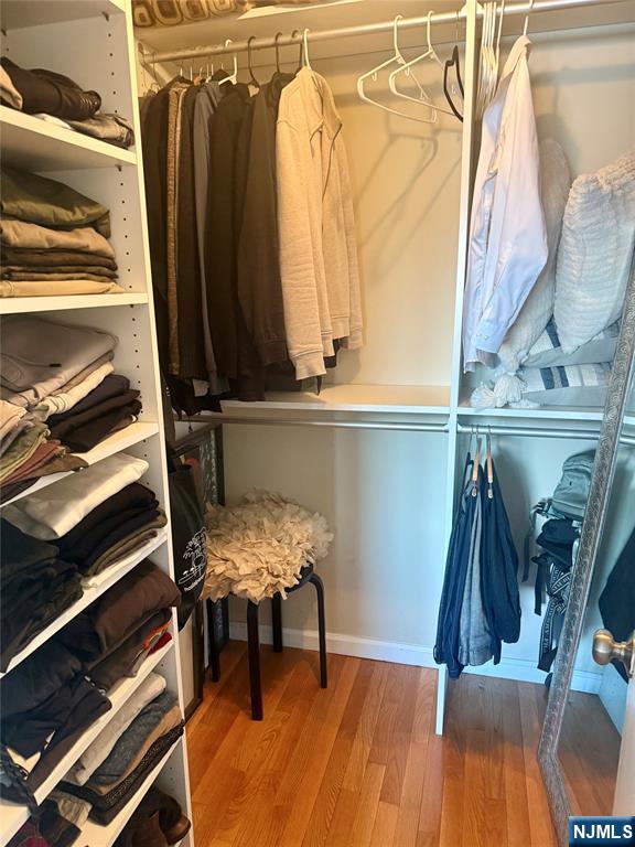 102 Nelson Court, Unit O102 Edgewater, NJ 07020 - Photo 7 of 15 a view of walk in closet with clothes and shoes