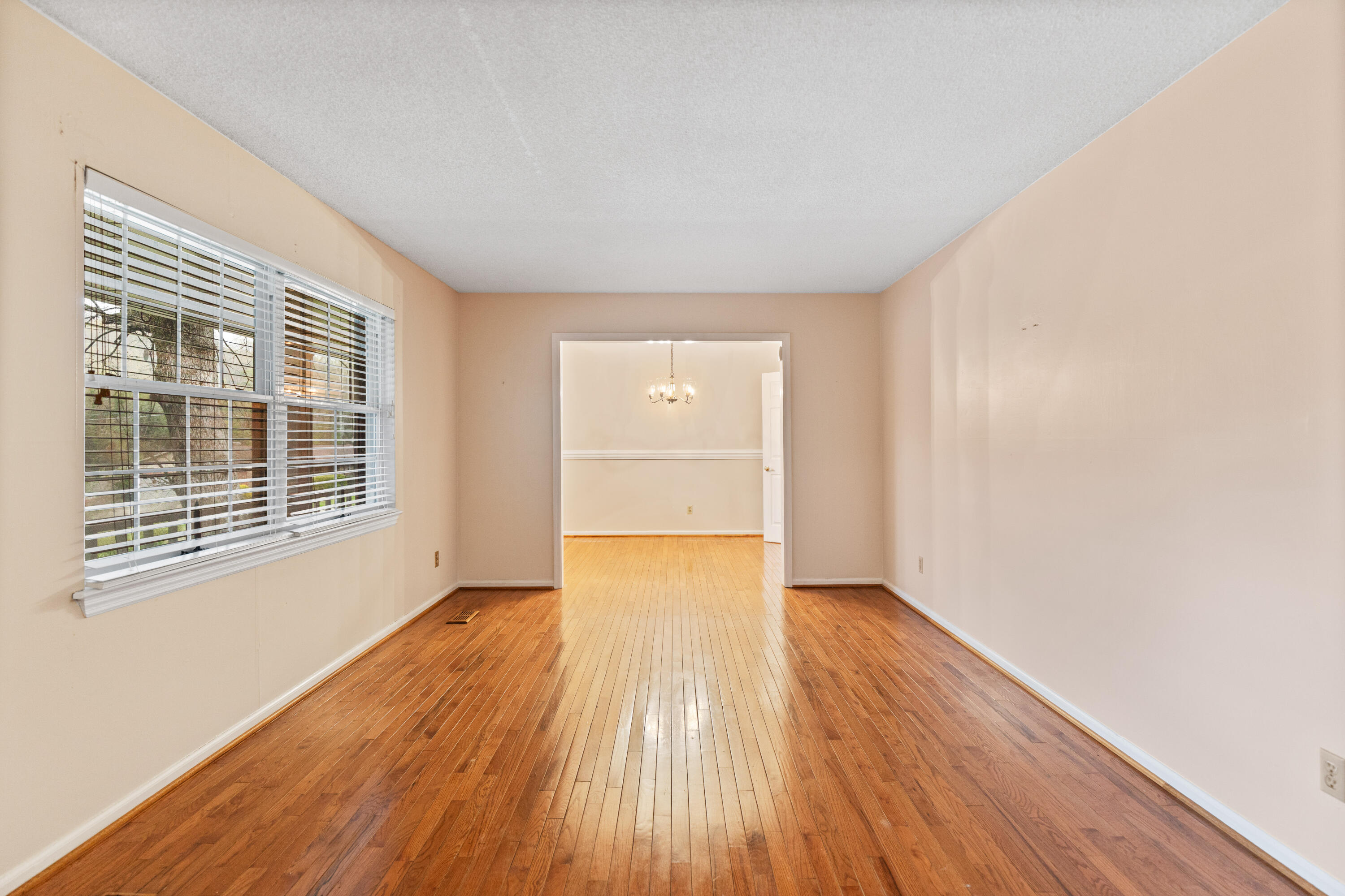 7004 Lystra Road Harrison, TN 37341 - Photo 15 of 38 146A0324